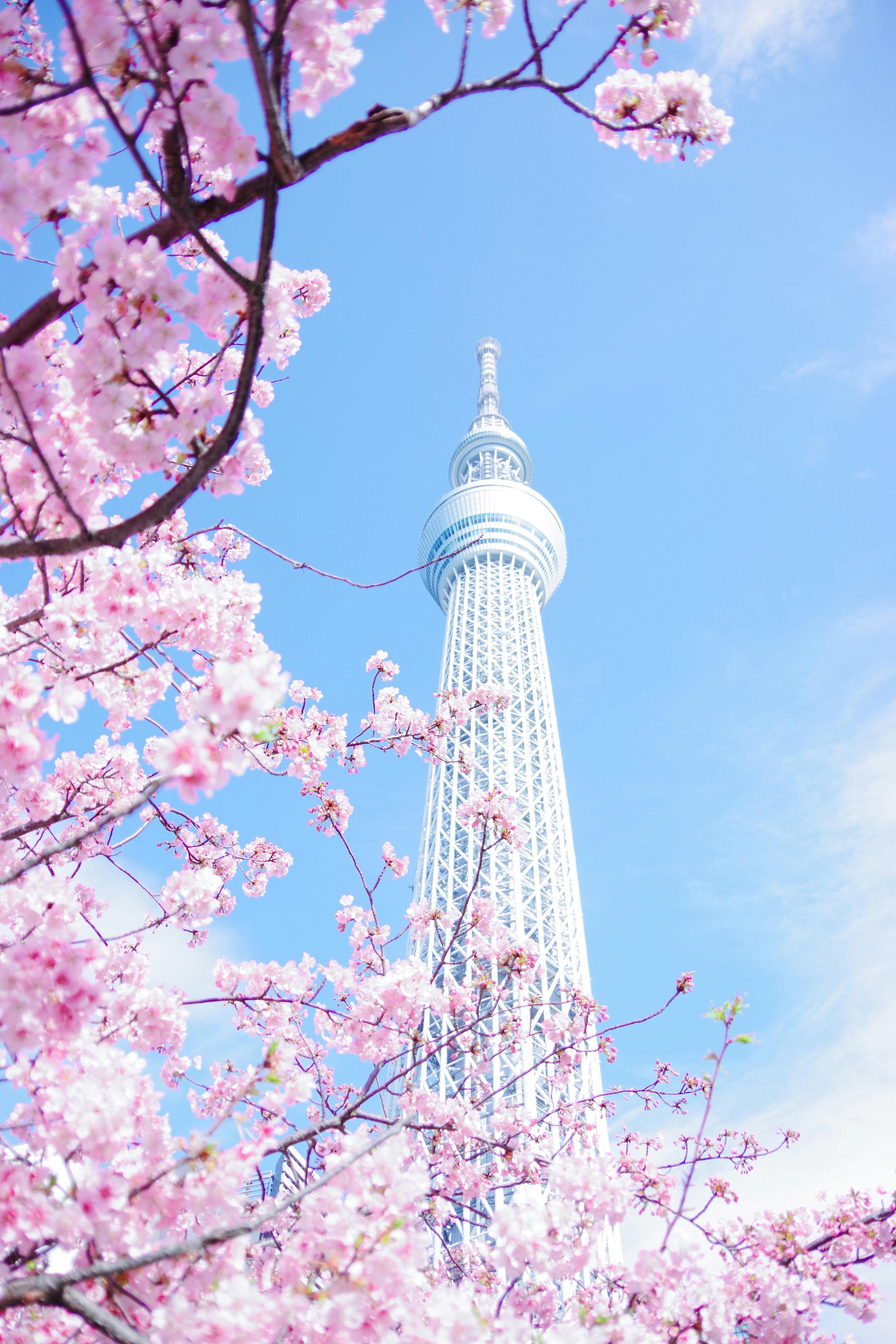 Tokyo